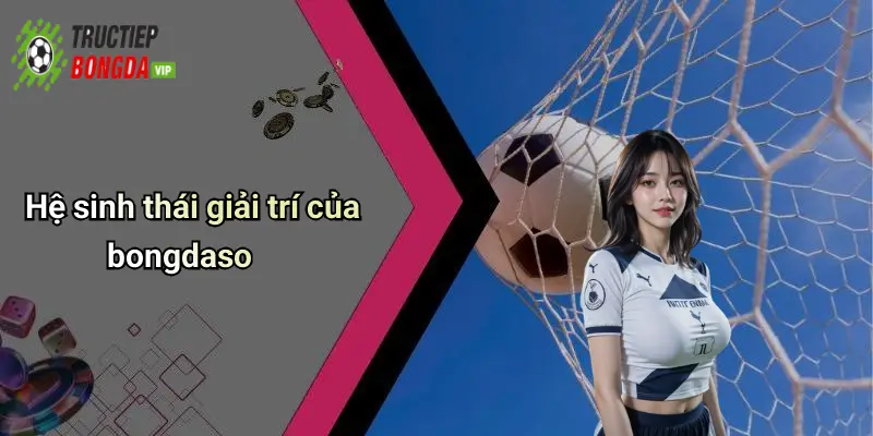 Hệ sinh thái giải trí của bongdaso