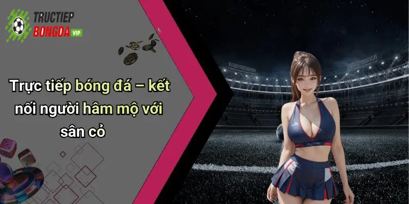 Trực tiếp bóng đá – kết nối người hâm mộ với sân cỏ