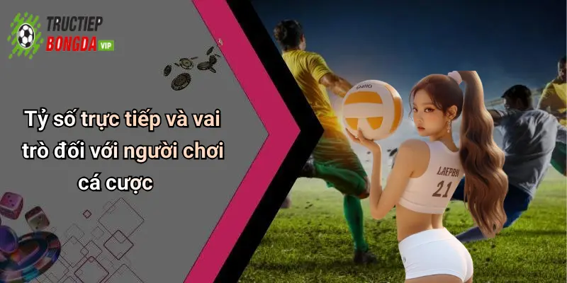 Tỷ số trực tiếp và vai trò đối với người chơi cá cược