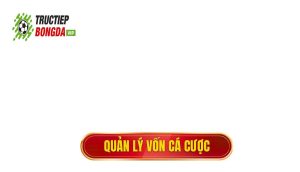 thumb - quản lý vốn cá cược
