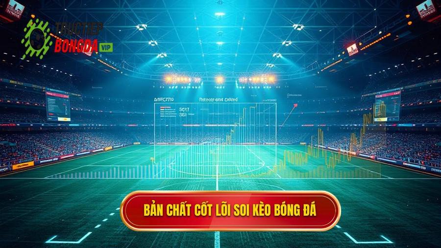 Hiểu bản chất của việc soi kèo bóng đá